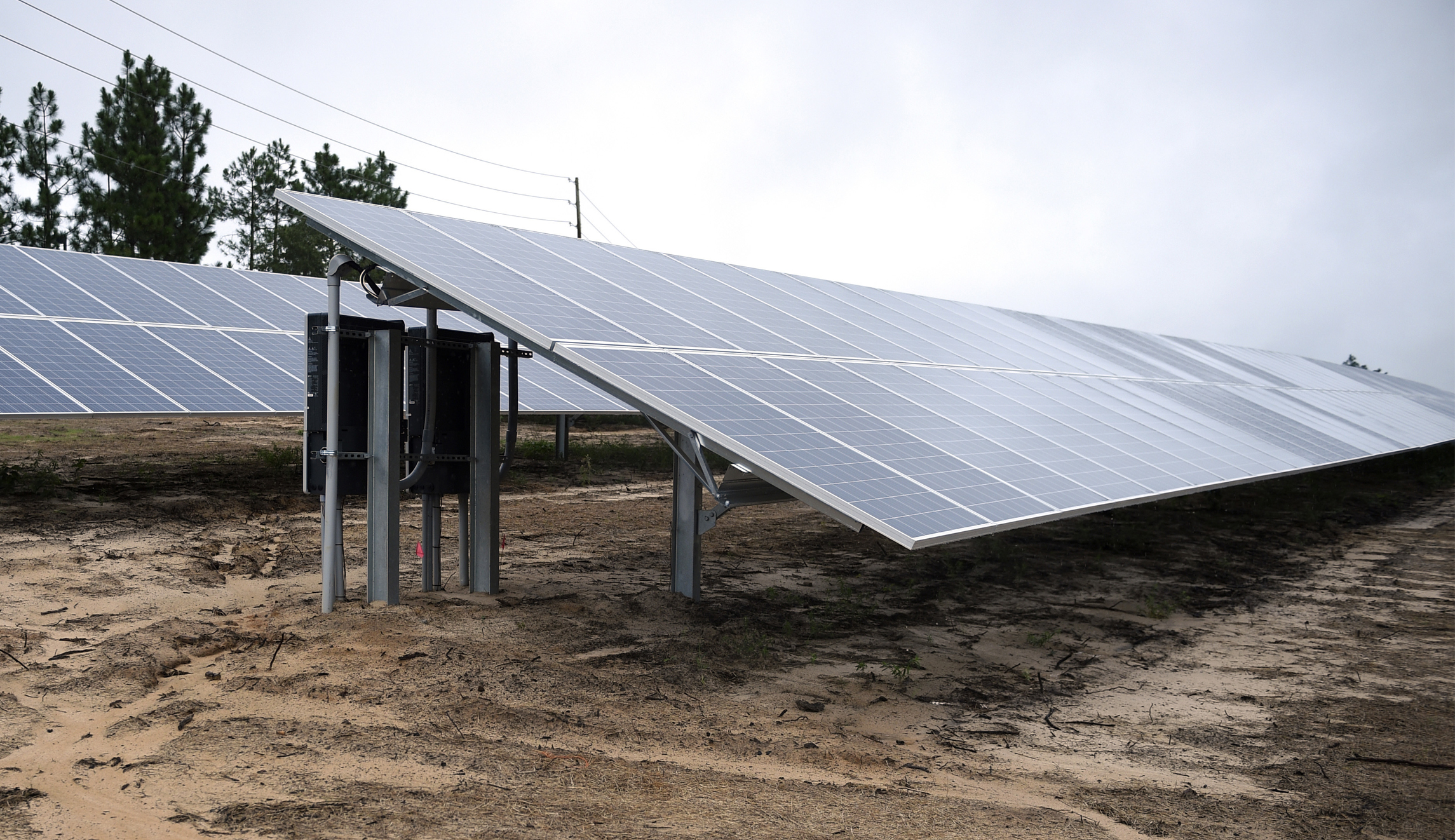 Why are two bankrupt solar companies seeking a bailout that would kill their industry?