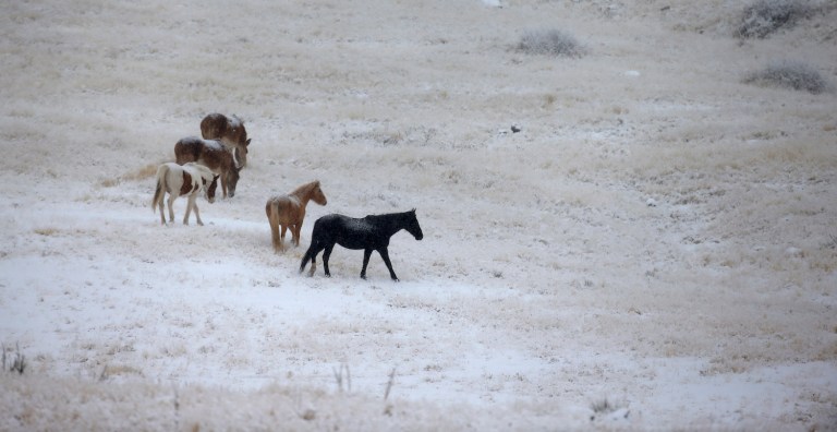 President-elect Trump must improve the Antiquities Act and rein in federal overreach into western lands. (AP Photo/Brennan Linsley)