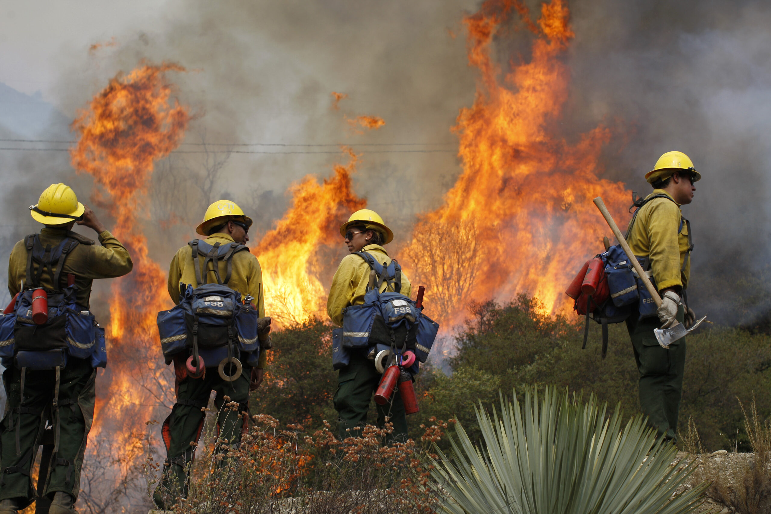 House Republicans push to deregulate the U.S. Forest Service