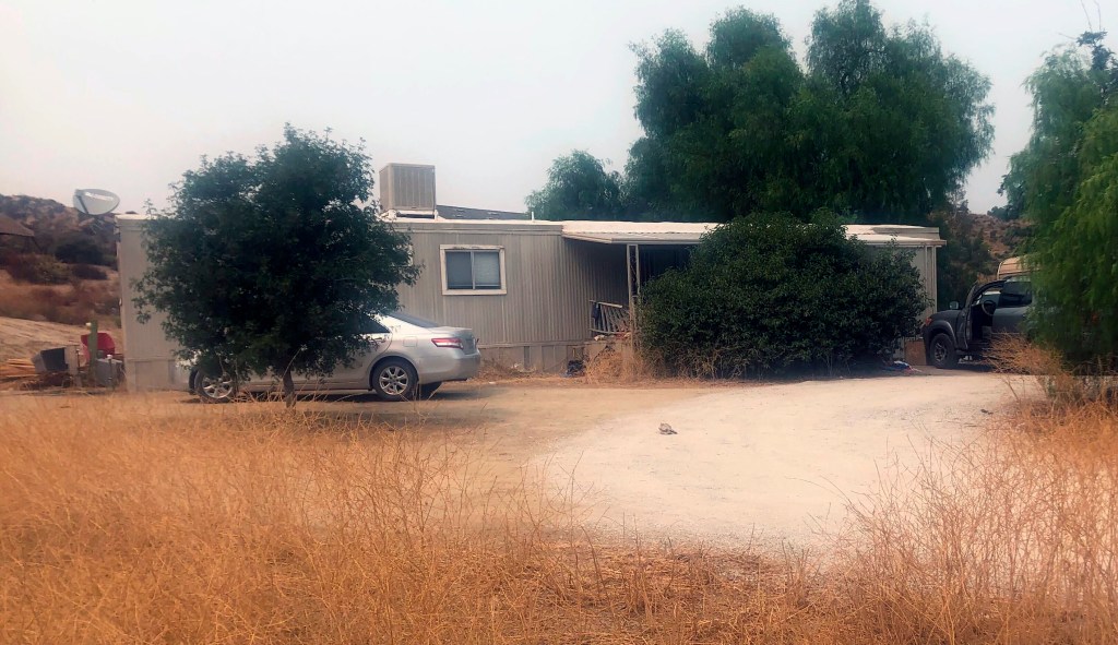 Seven found dead at residence used for illegal marijuana growing: Police