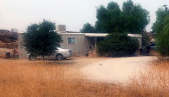 Seven found dead at residence used for illegal marijuana growing: Police