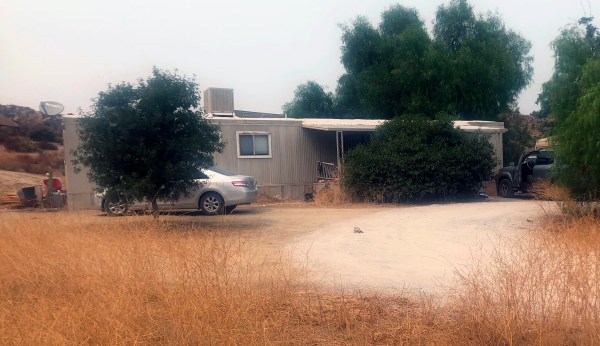 Seven found dead at residence used for illegal marijuana growing: Police