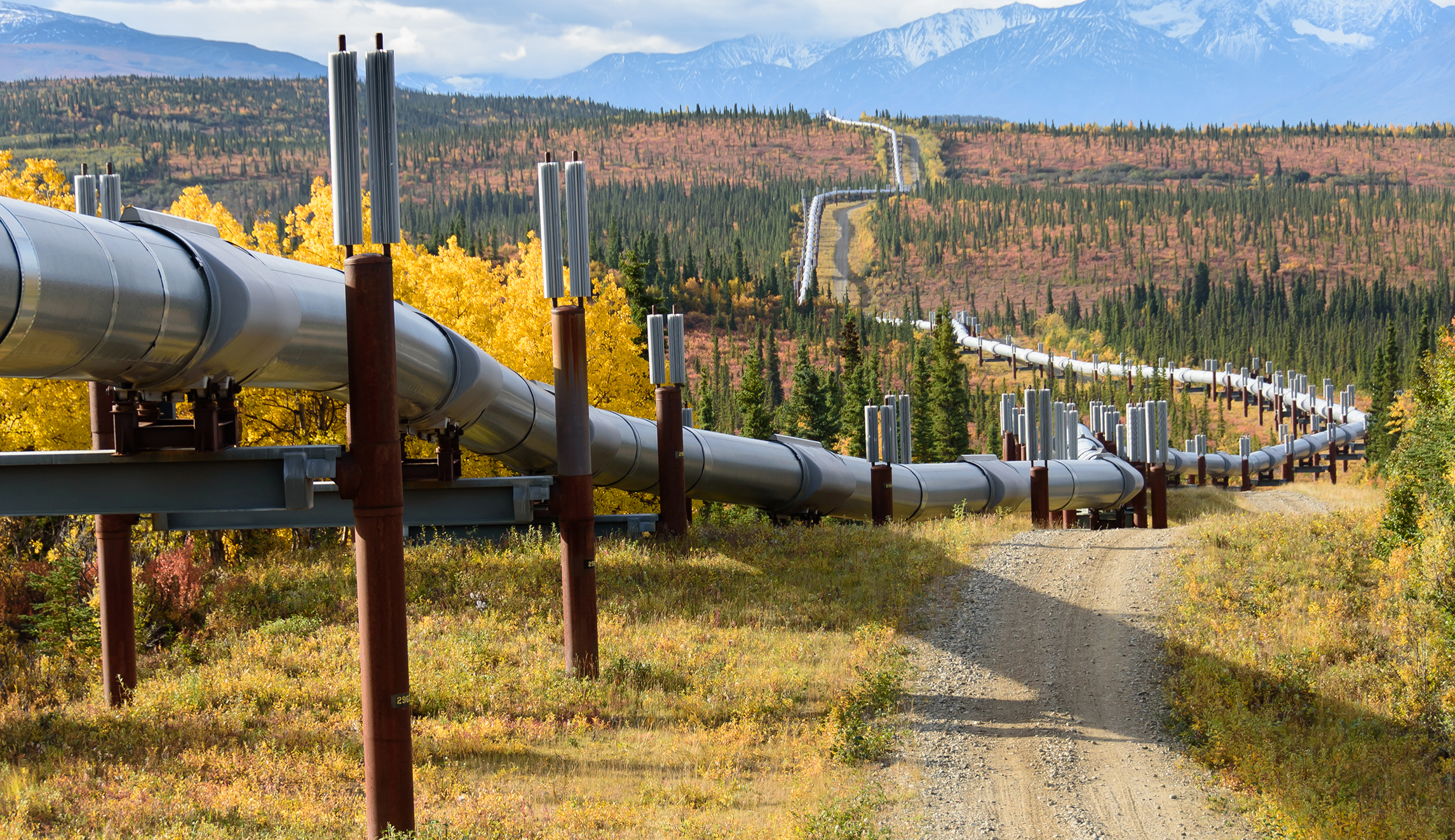 How the next conservative administration can restore American energy dominance