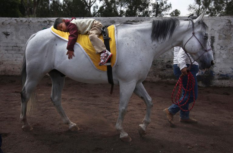 In this Aug. 26, 2014 photo, 4-year-old patient Saul Valverde rides lying on the back of Andariego, a 19-year-old veteran horse retired from 