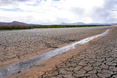 Drought-stricken California farmers lose $1.7 billion in 2022