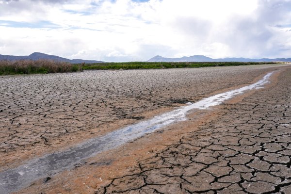 Drought-stricken California farmers lose $1.7 billion in 2022