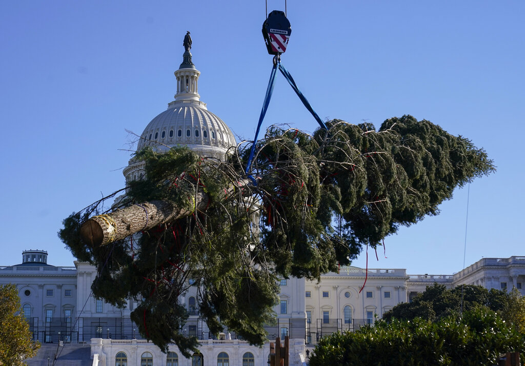 Congressional Democrats face daunting December to-do list