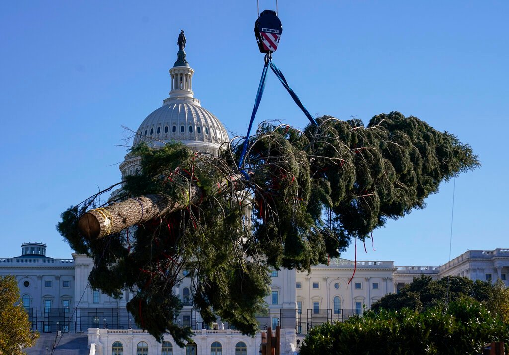 Congressional Democrats face daunting December to-do list