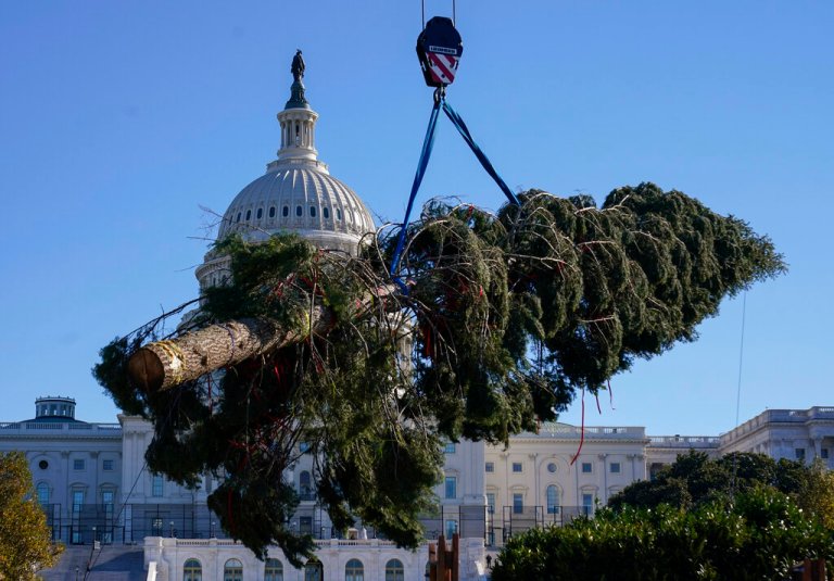 Congressional Democrats face daunting December to-do list