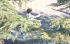 Male suspect fights female officer and steals her gun before police shoot him