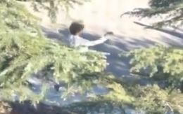Male suspect fights female officer and steals her gun before police shoot him