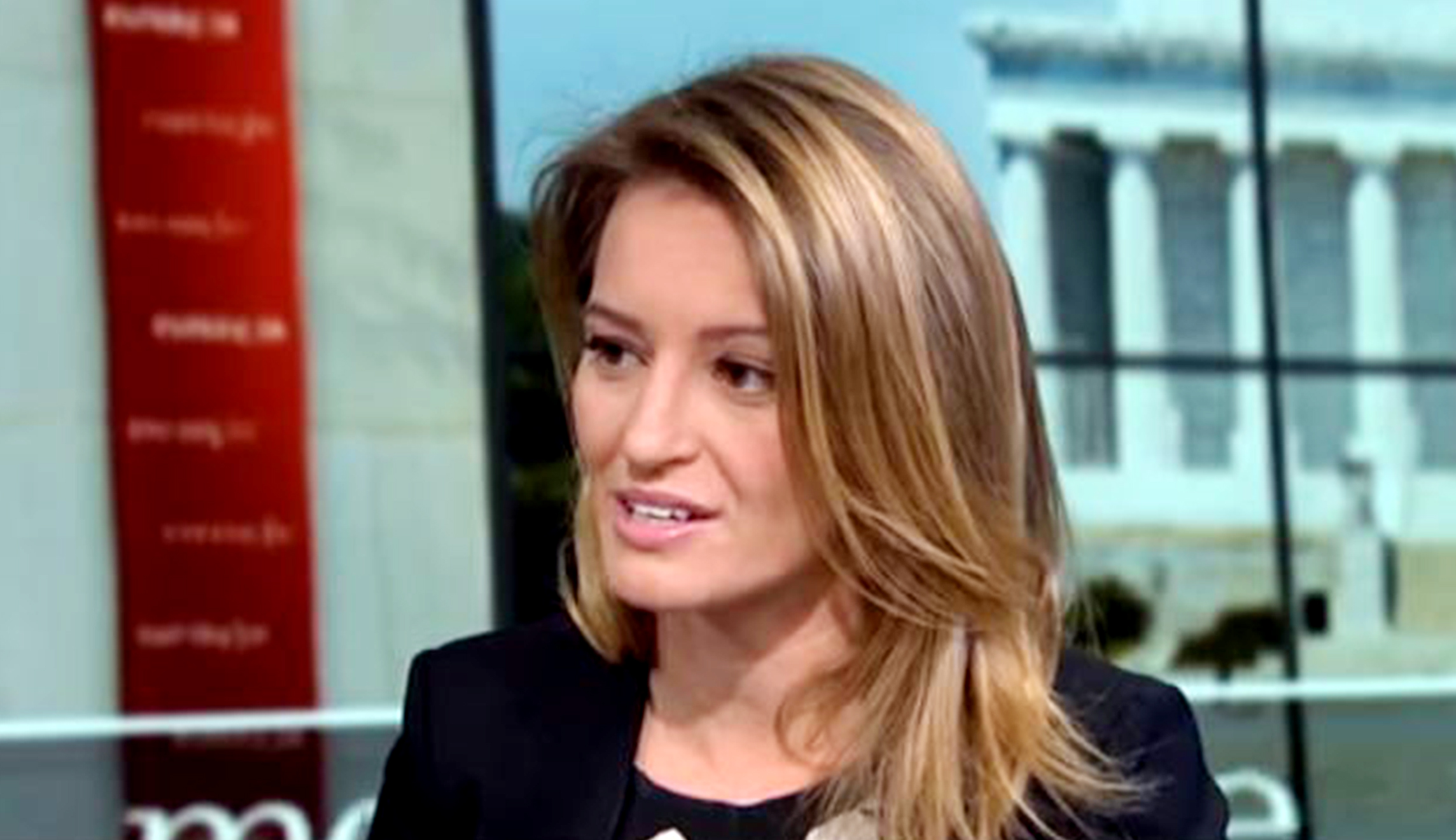 Katy Tur, constitutional scholar