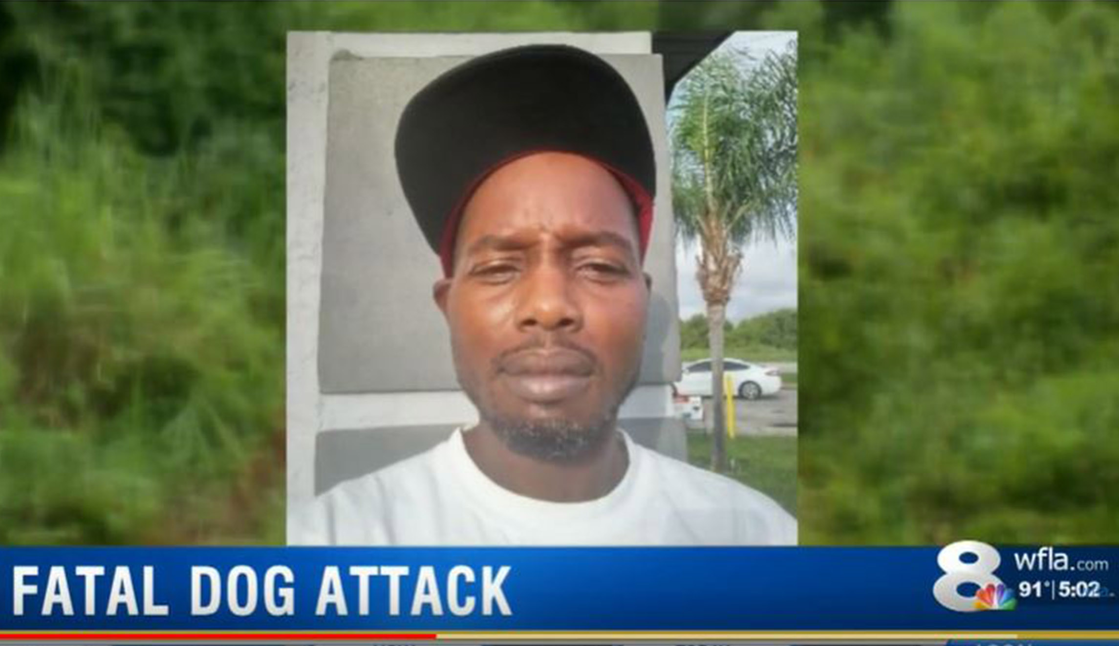 Florida man savaged to death by wild dogs as he takes shortcut home
