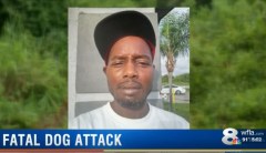 Florida man savaged to death by wild dogs as he takes shortcut home