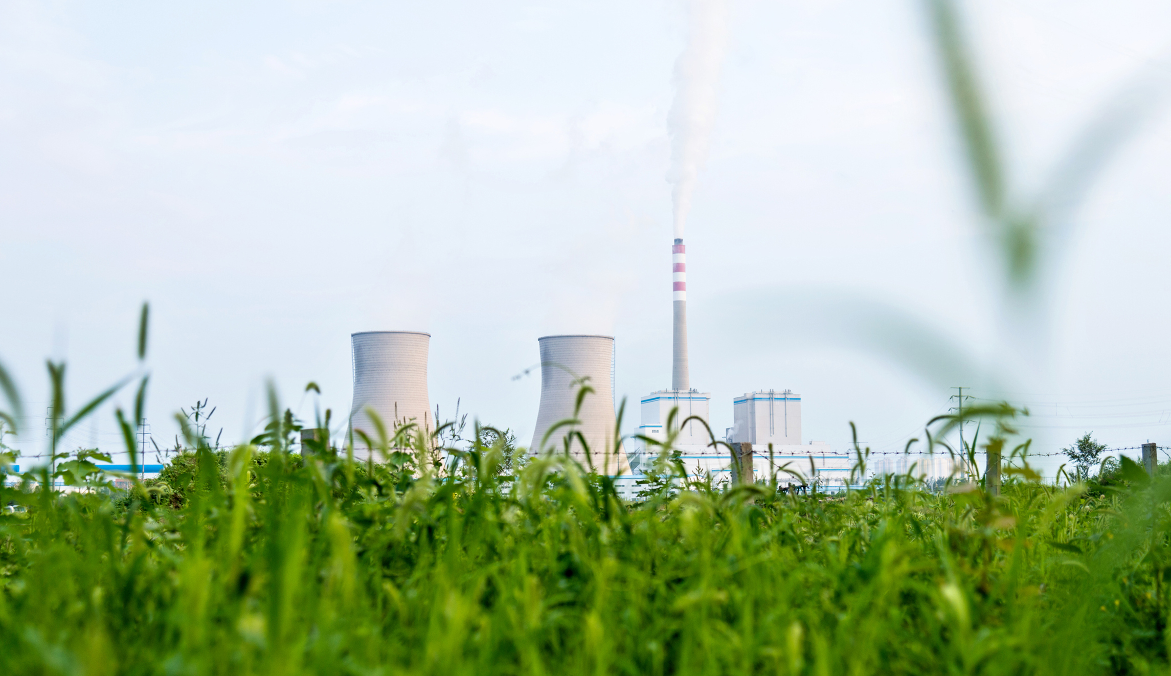 Don’t rejoin the Paris climate agreement