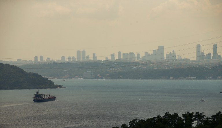 Ukrainian grain shipment sparks cautious optimism about food crisis and inflation