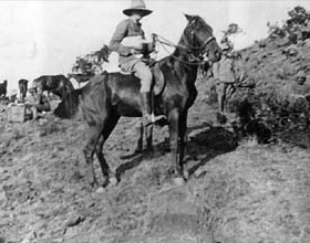 Curb Your Exhilaration