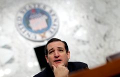 Ted Cruz aims at his own side — again