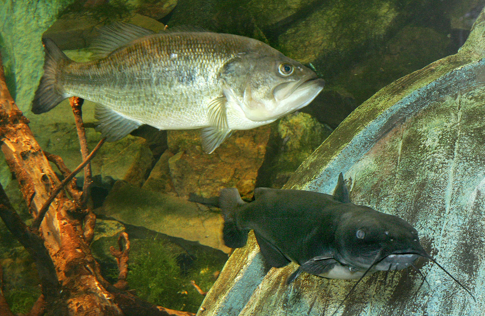 National Aquarium to close D.C. location