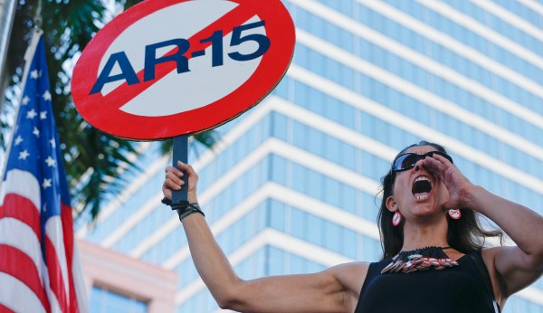 Survey: Majority of Democrats want to ban semi-automatics, half want to ban all guns