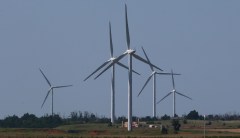 Wasteful subsidies for me and thee, not for that fossil guy behind the tree
