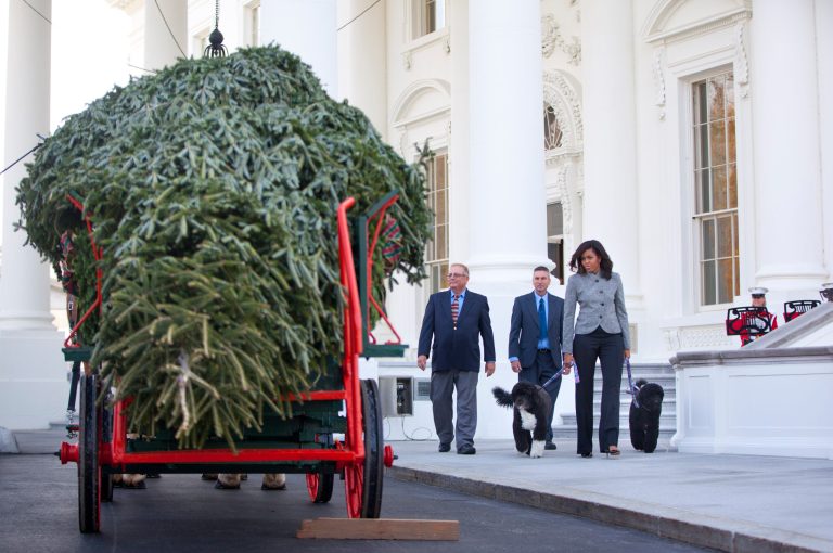 This year's tree is an 18.5-foot-tall Fraser fir, grown by Jay and Glenn Bustard of Lansdale, Pa. (AP Photo/Pablo Martinez Monsivais)