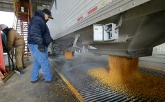 Biden set to allow higher blends of ethanol in gas year-round: Report