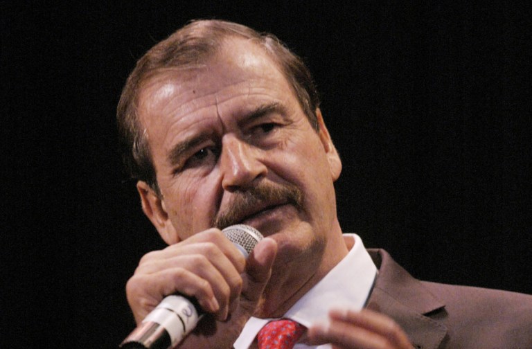 Former Mexican President Vincente Fox called on the U.S. Congress to give amnesty-like pardons to Mexicans.. (AP Photo/Kevin Rivoli)