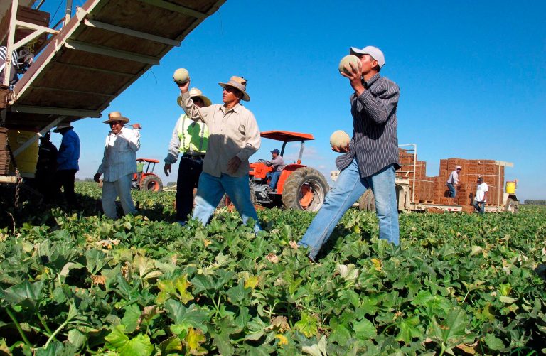 Researchers on all sides of the issue agree on one thing: New immigration would put pressure on the wages of immigrants who are already in the United States by introducing competition for low-skilled workers and lowering their wages. (AP Photo/Gosia Wozniacka, File)