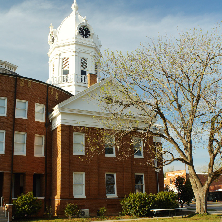 To Milk a Mockingbird