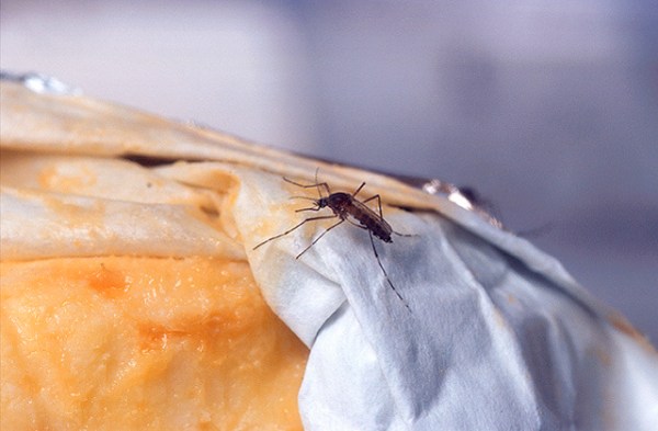 Mosquitoes are worse this summer in parts of US
