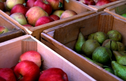 Mississippi firm wins military food service contract