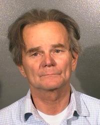 Arrest made in Arlington gun stash