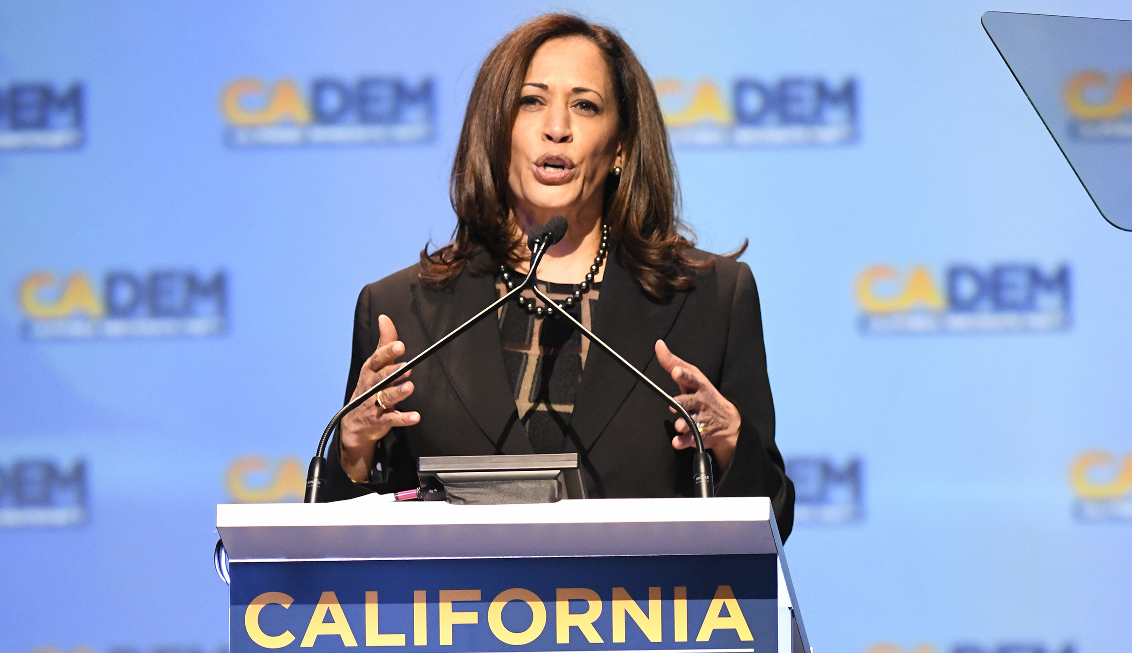 Love her or hate her, Kamala Harris’ approach to Democratic division is worth watching