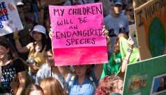 The climate change protests are a Trojan horse for socialism