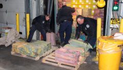 ICE makes biggest cocaine bust in 25 years: $77M seized at New Jersey port