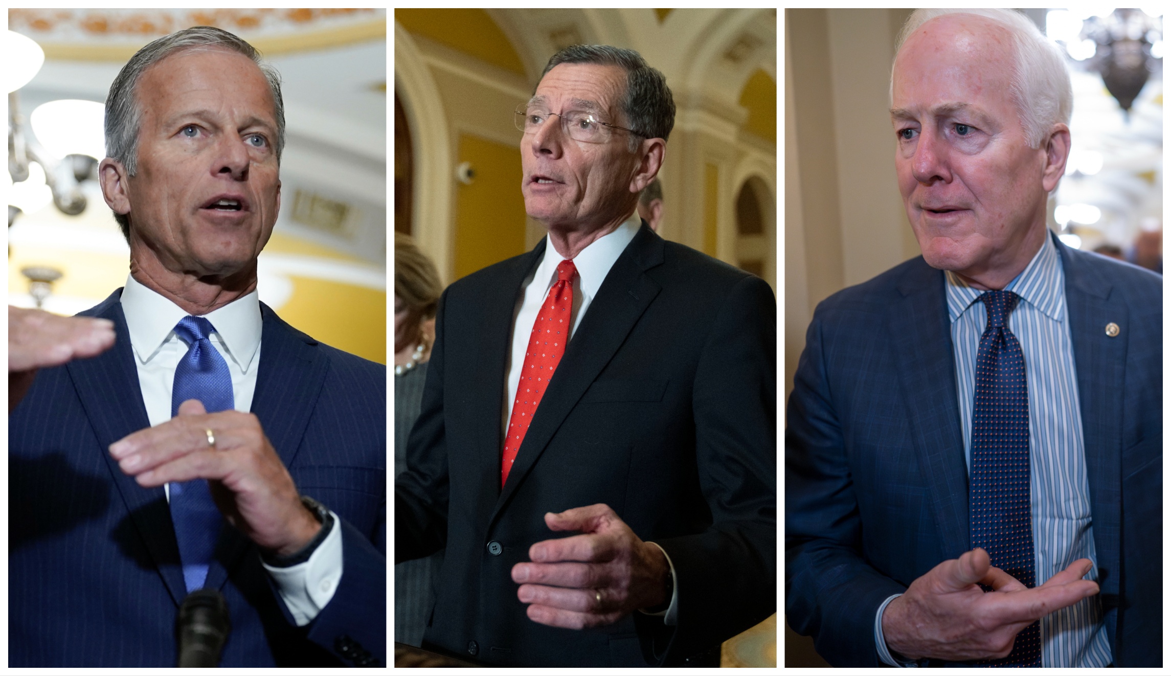 How Trump indictment could affect three possible McConnell successors