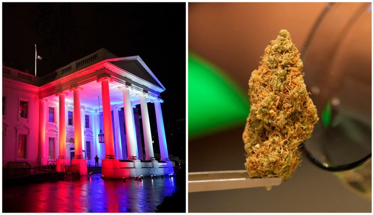 The North Portico of the White House is illuminated red, white and blue on Feb. 3, 2022, and a flower bud of marijuana.
