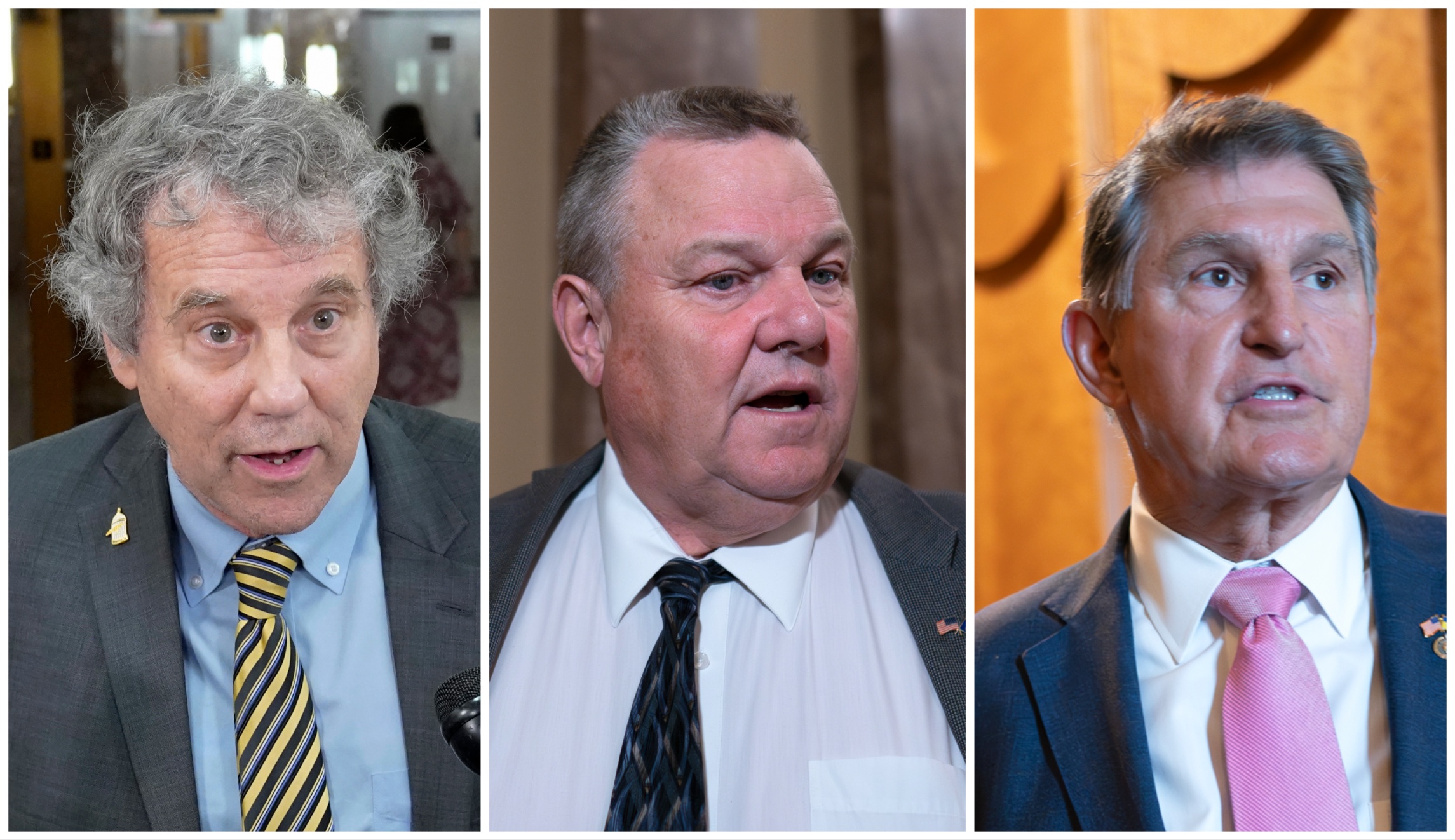 NRSC slams vulnerable Senate Democrats on gun rights for veterans