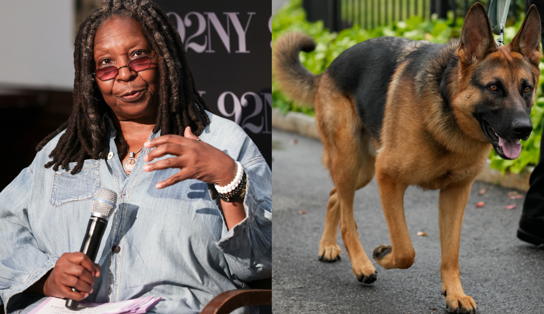 Whoopi Goldberg jokes that Biden’s dog ‘hasn’t bitten any Republicans’ amid dog attack reports
