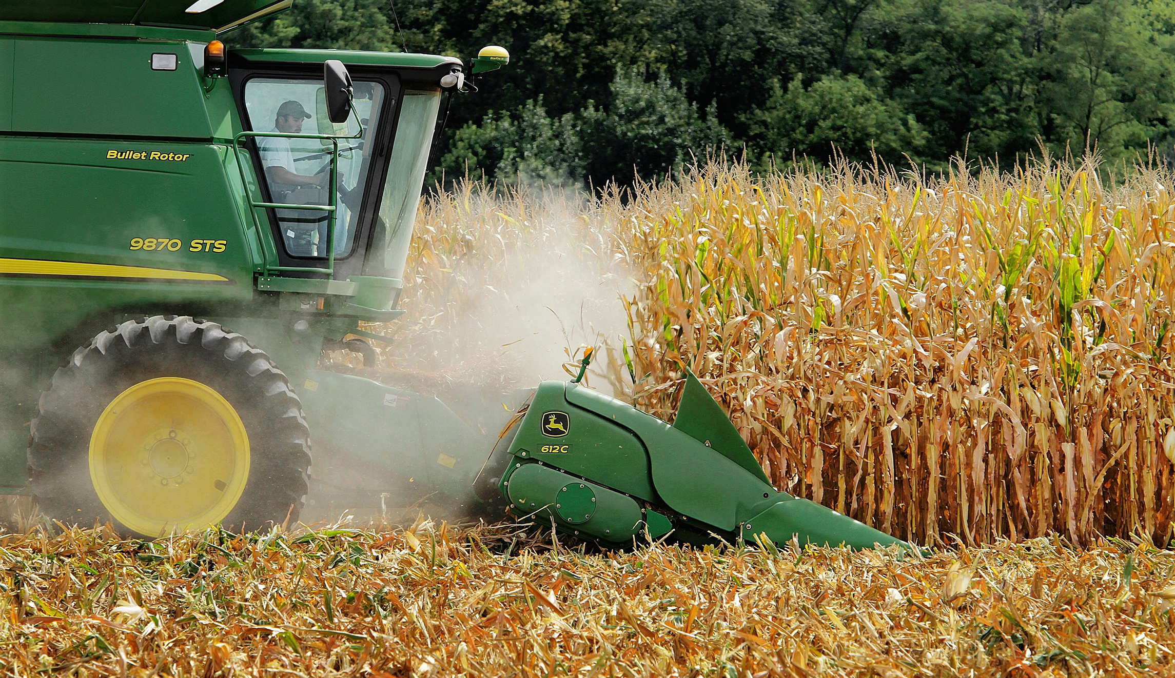 Farm subsidies waste money on junk food
