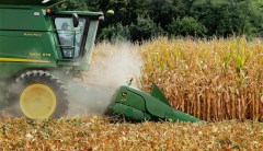Farm subsidies waste money on junk food