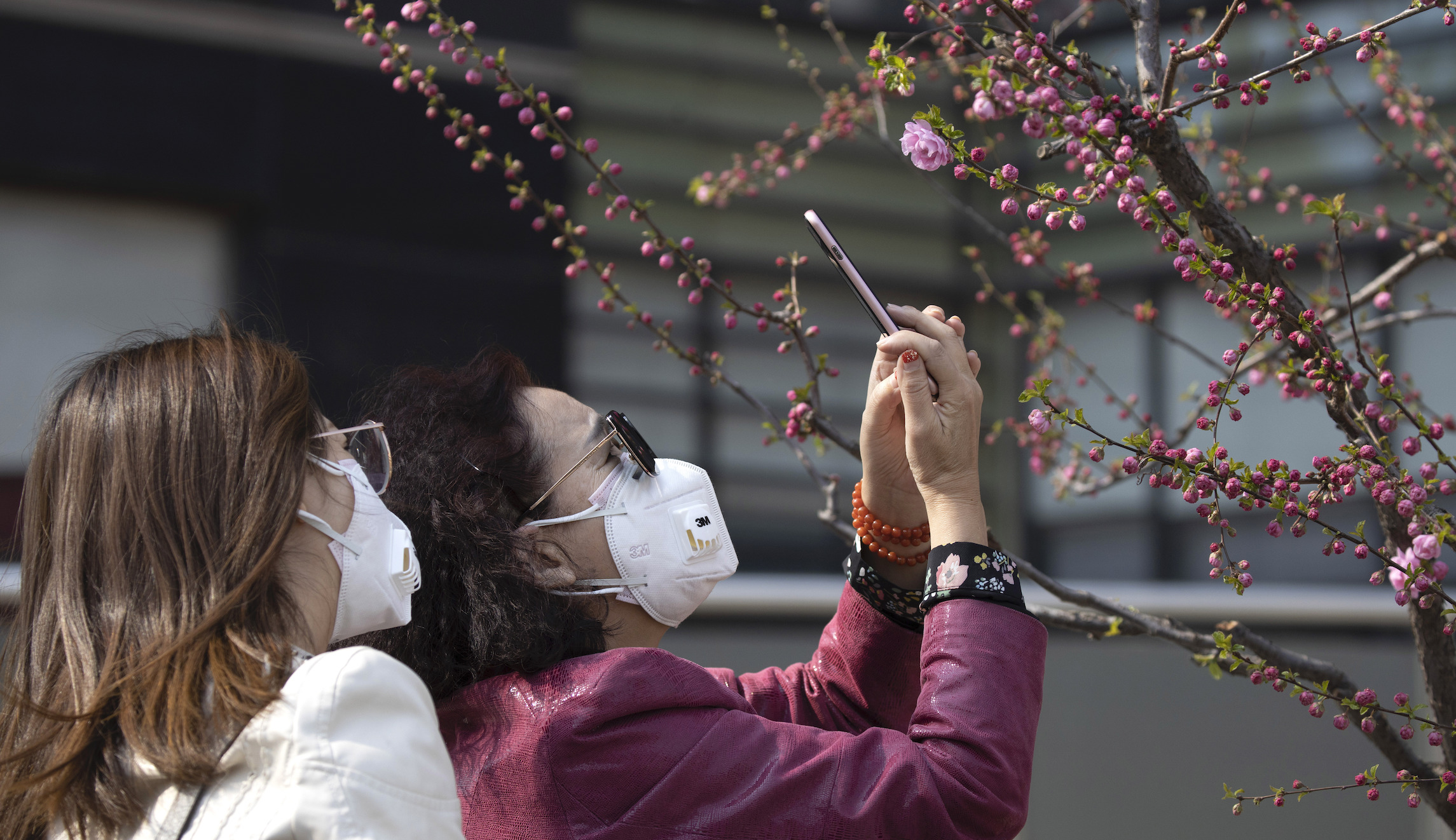 Top Chinese coronavirus expert ‘very worried’ about a second ‘large-scale epidemic’