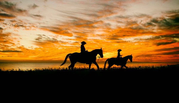 ‘Cowboy’ marketing campaign too sexist for University of Wyoming