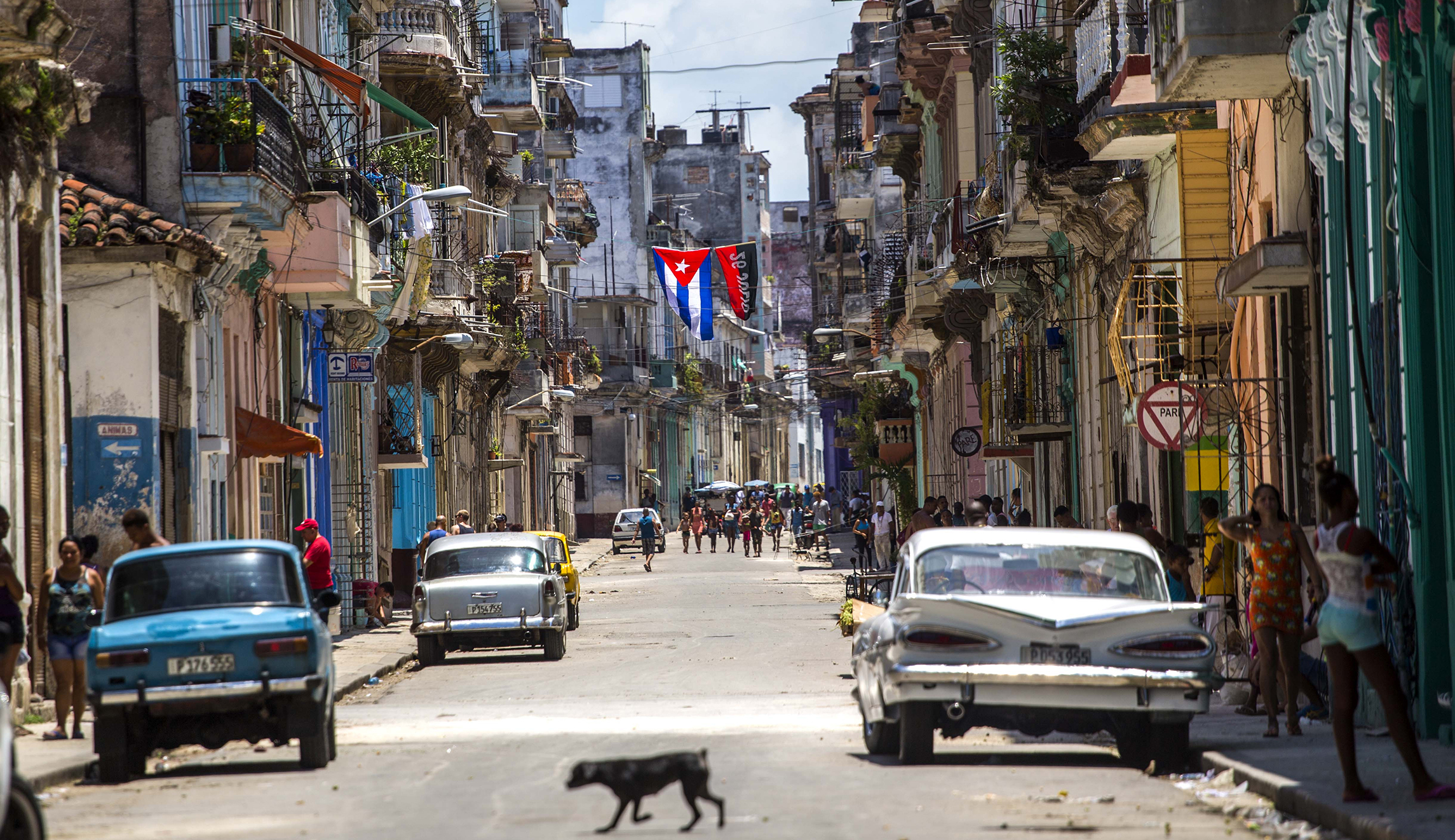 Pentagon funding ‘Havana syndrome’ experiments on animals