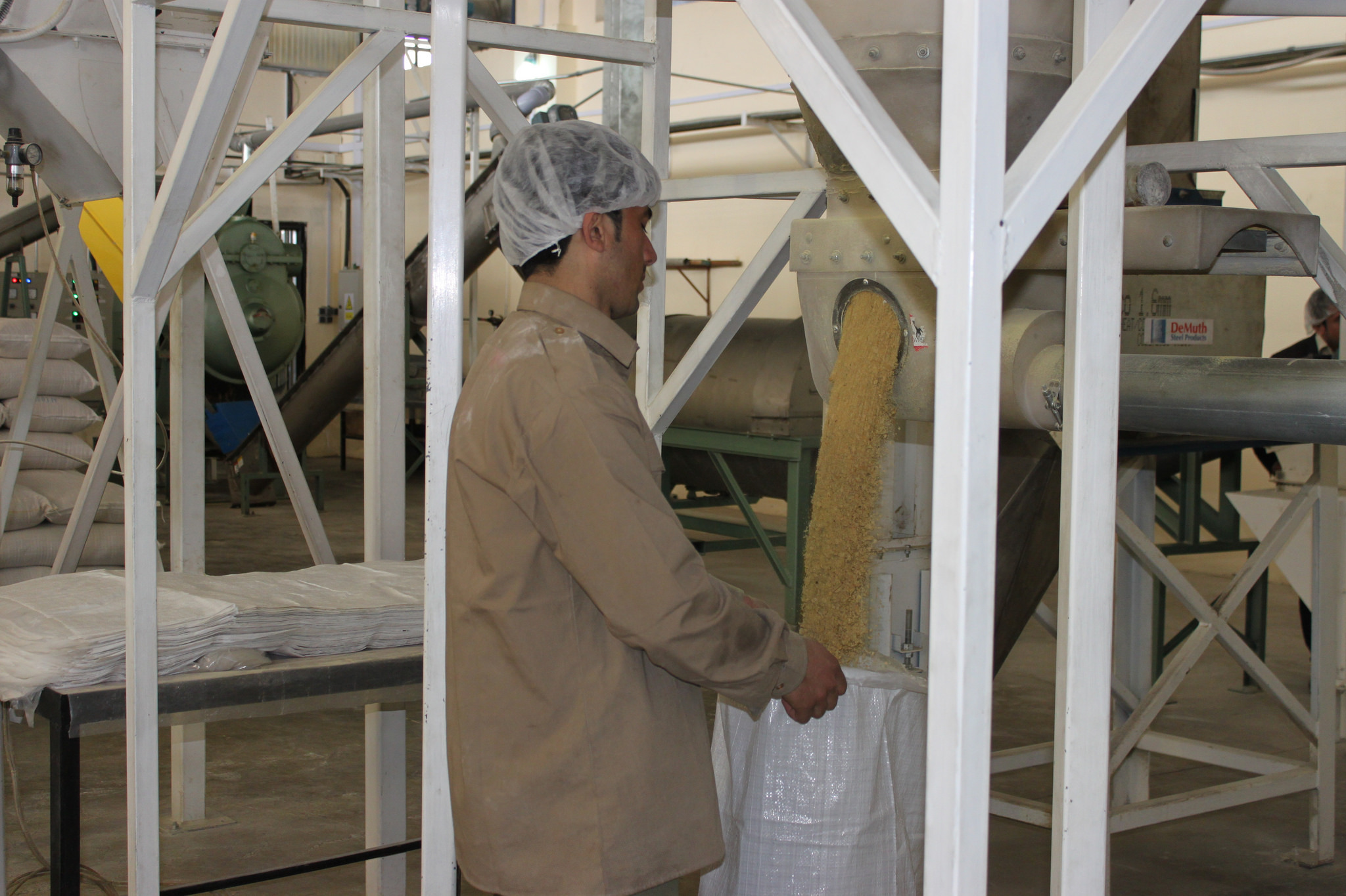 The U.S. spent $35 million trying to grow this crop in Afghanistan