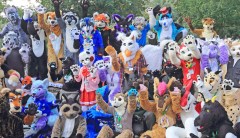 Florida furries saddened after DeSantis law bans children from 18-plus convention