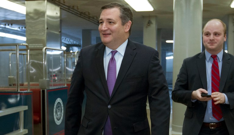 Sen. Ted Cruz, who is up for re-election, won the Republican Texas primary with over 1.3 million votes out of more than 1.5 million GOP votes cast. (AP Photo/Jose Luis Magana)