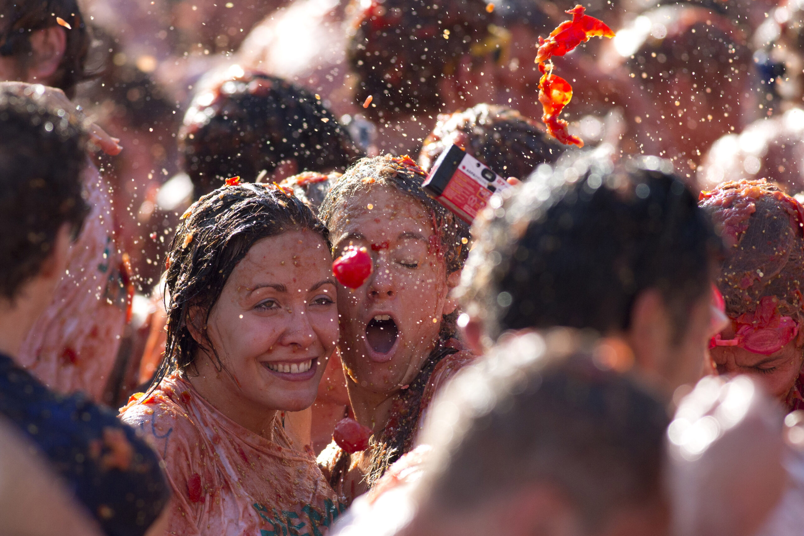 Dutch stage tomato fight against Russian sanctions