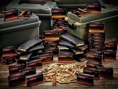 Clinton era product czar calls for online ammo ban, bullet background checks